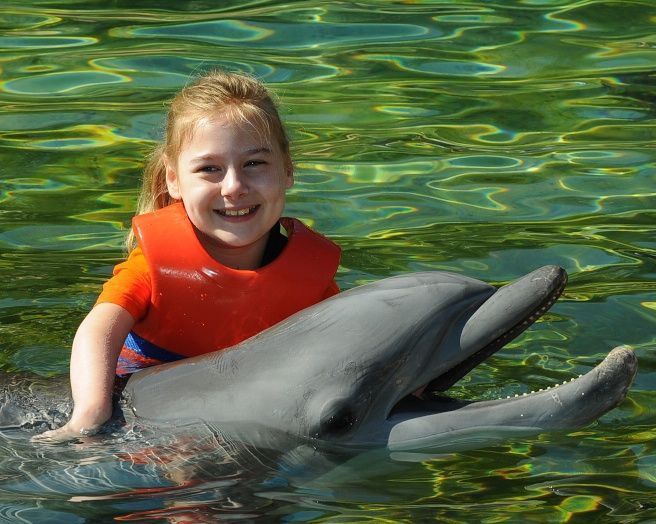 Discovery Cove Dolphin hug DF13